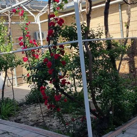Hostel Muborak Samarkand Exterior photo